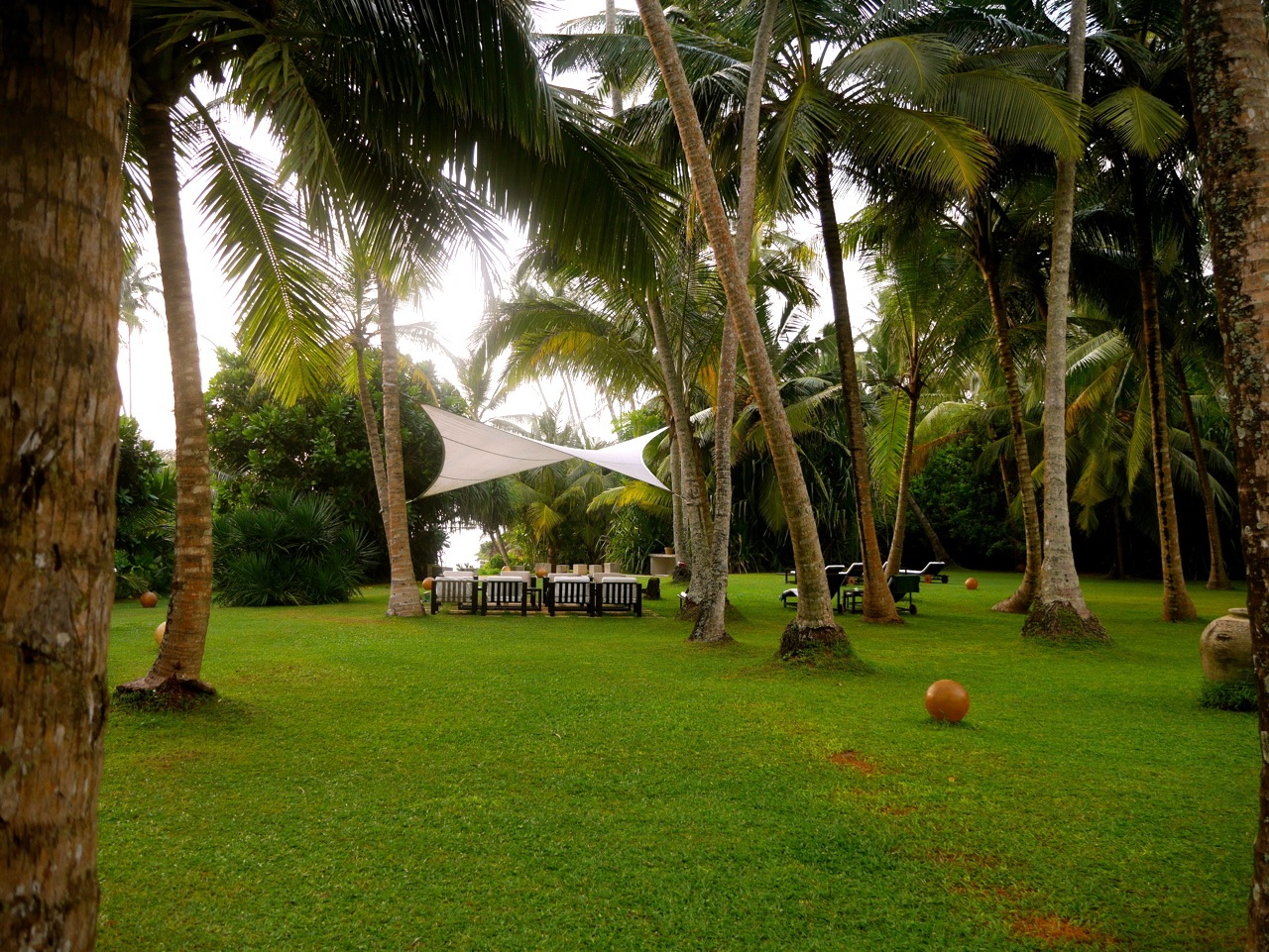 SriLanka OWF-Guesthouse Garden